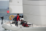 amber haze gbr4177 whyw17 thur gjmc 8317